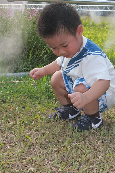 IMG_6615.JPG IMG_6615.JPG