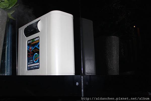 IMG_5784.JPG IMG_5784.JPG