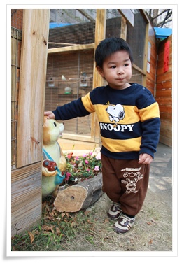 IMG_3203.JPG IMG_3203.JPG