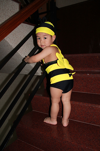 IMG_6187.JPG IMG_6187.JPG