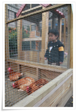 IMG_3188.JPG IMG_3188.JPG