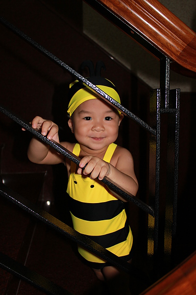 IMG_6188.JPG IMG_6188.JPG