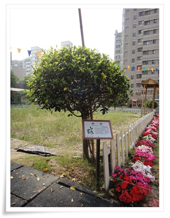 DSC00740.JPG DSC00740.JPG