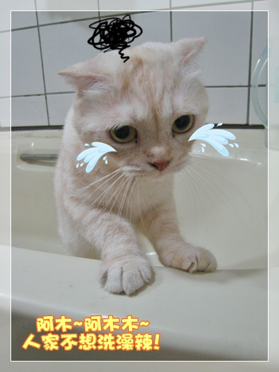 討厭洗澡.jpg 討厭洗澡.jpg