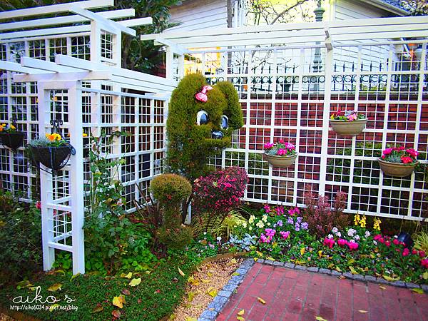 【日本关西】神户北野异人馆街,步行在欧风处