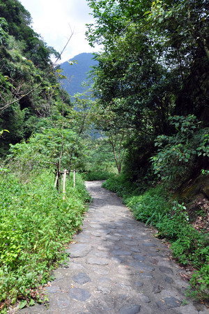 走入山徑中&mdash;發現觀音瀑布群