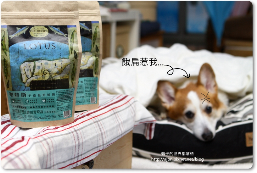 IMG_0228.png IMG_0228.png