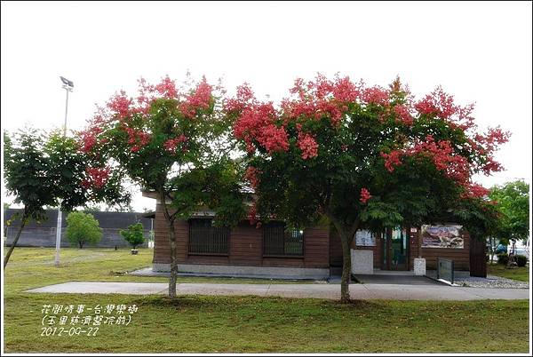 2012-09-台灣欒樹5