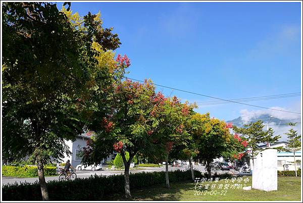 2012-09-台灣欒樹11