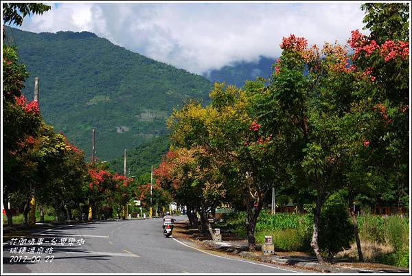 2012-09-台灣欒樹19