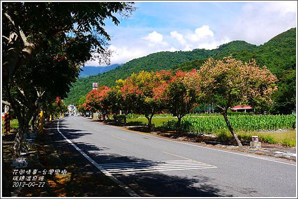 2012-09-台灣欒樹23