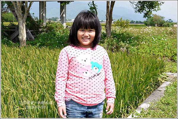 2012-10-伯朗大道24 2012-10-伯朗大道24