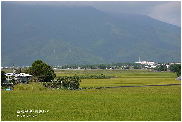 縣道197-02 縣道197-02