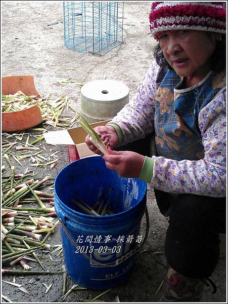 2013-03-採箭笱6 2013-03-採箭笱6