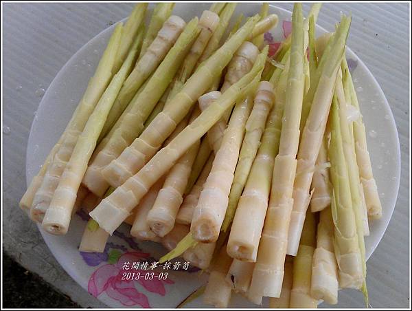 2013-03-採箭笱7 2013-03-採箭笱7