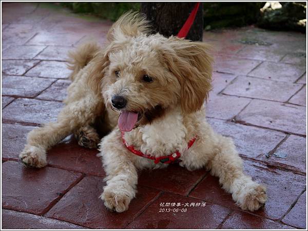 2013-06-大興部落3 2013-06-大興部落3