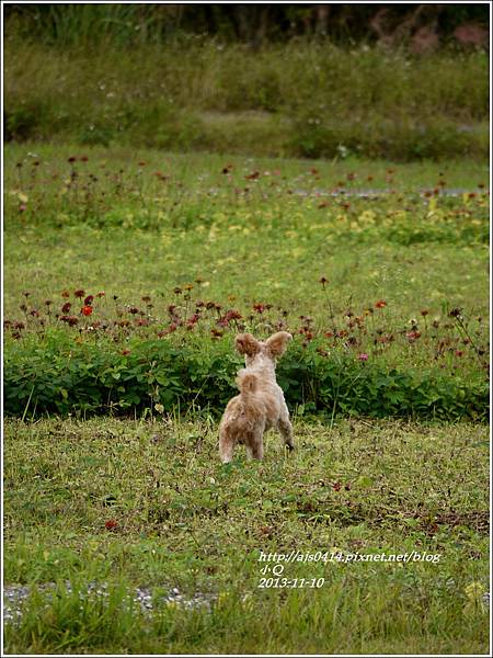 2013-12-小Q2.jpg 2013-12-小Q2.jpg