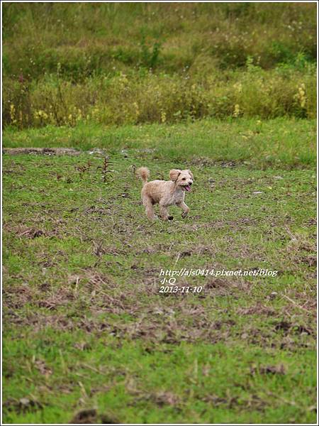 2013-12-小Q1.jpg 2013-12-小Q1.jpg