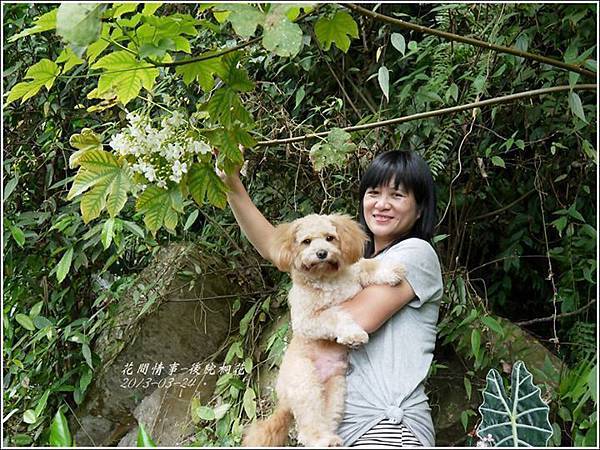 2014-01-小Q二歲13.jpg 2014-01-小Q二歲13.jpg