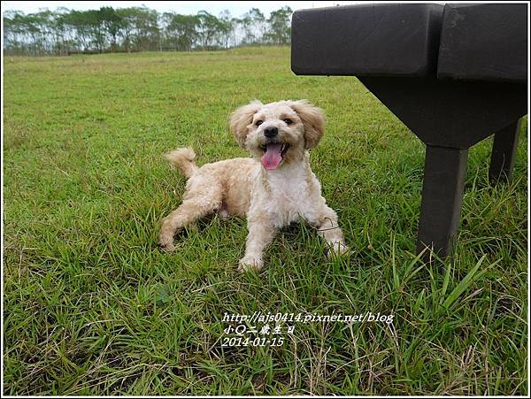 2014-01-小Q二歲2.jpg 2014-01-小Q二歲2.jpg