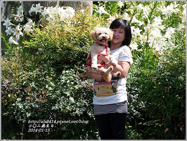 2014-01-小Q二歲10.jpg 2014-01-小Q二歲10.jpg