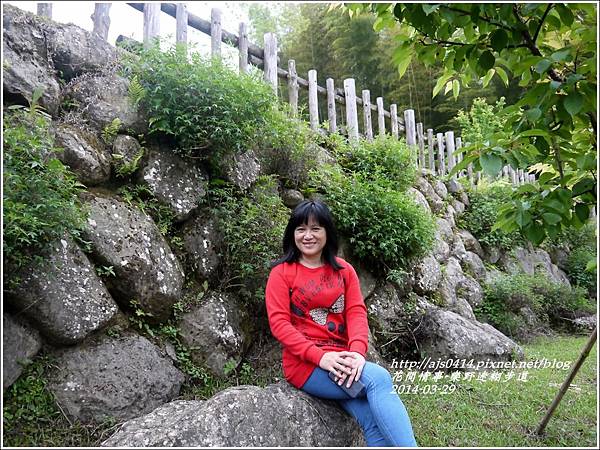 2014-04-樂野迷糊步道1.jpg 2014-04-樂野迷糊步道1.jpg