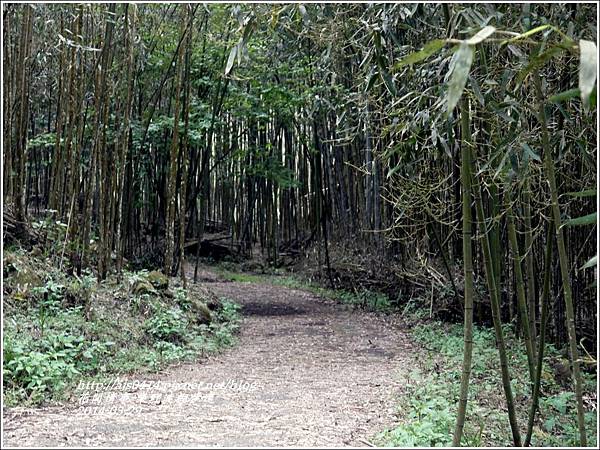 2014-04-樂野迷糊步道7.jpg 2014-04-樂野迷糊步道7.jpg