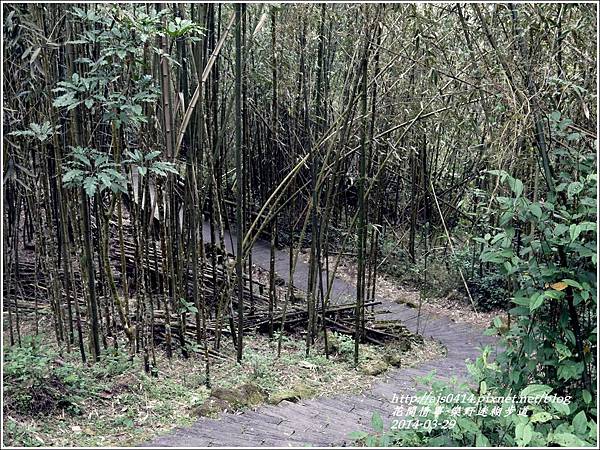 2014-04-樂野迷糊步道8.jpg 2014-04-樂野迷糊步道8.jpg