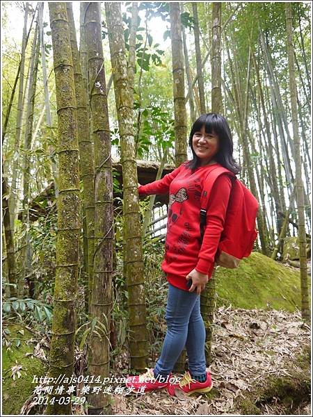 2014-04-樂野迷糊步道13.jpg 2014-04-樂野迷糊步道13.jpg