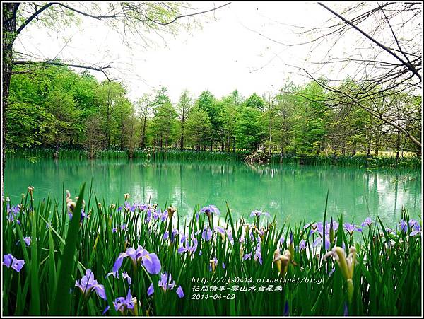 2014-04-雲山水鳶尾季30.jpg 2014-04-雲山水鳶尾季30.jpg