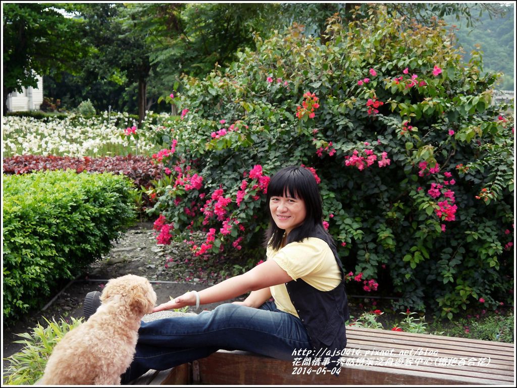 2014-05-秀姑戀溪泛舟遊客中心(鐵炮百合花)23.jpg 2014-05-秀姑戀溪泛舟遊客中心(鐵炮百合花)23.jpg