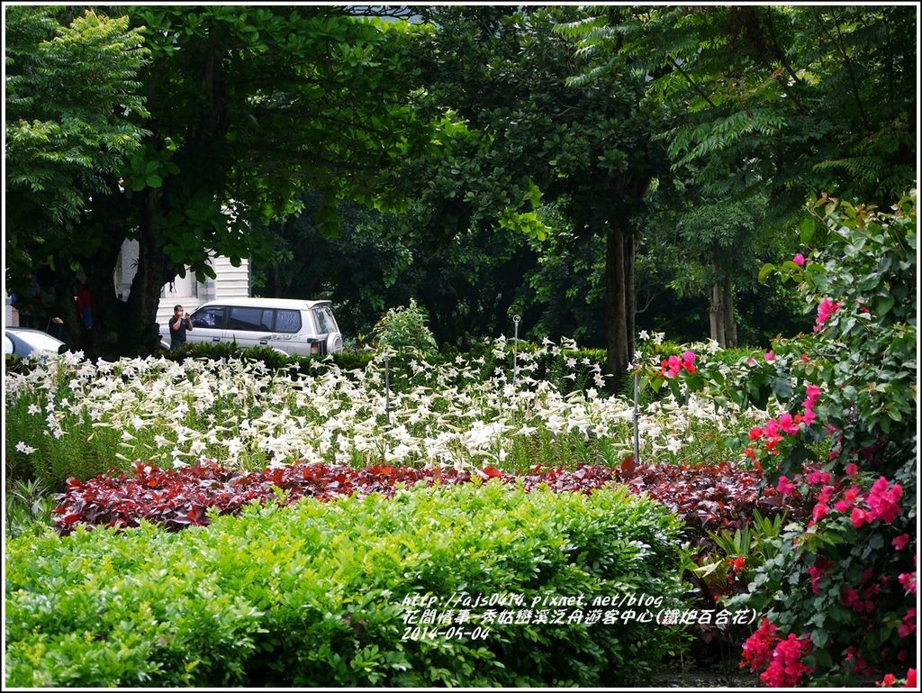 2014-05-秀姑戀溪泛舟遊客中心(鐵炮百合花)12.jpg 2014-05-秀姑戀溪泛舟遊客中心(鐵炮百合花)12.jpg