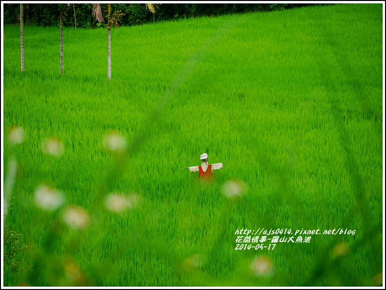 2014-05-羅山大魚池2.jpg 2014-05-羅山大魚池2.jpg