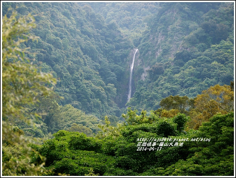 2014-05-羅山大魚池7.jpg 2014-05-羅山大魚池7.jpg