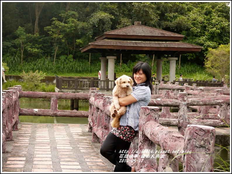 2014-05-羅山大魚池8.jpg 2014-05-羅山大魚池8.jpg