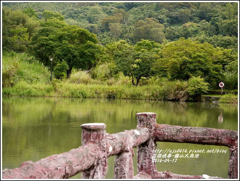 2014-05-羅山大魚池10.jpg 2014-05-羅山大魚池10.jpg