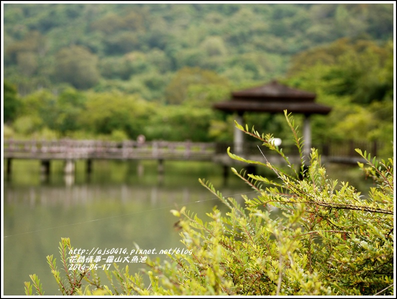 2014-05-羅山大魚池13.jpg 2014-05-羅山大魚池13.jpg