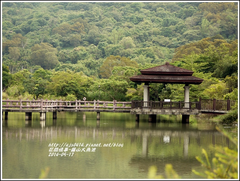2014-05-羅山大魚池14.jpg 2014-05-羅山大魚池14.jpg