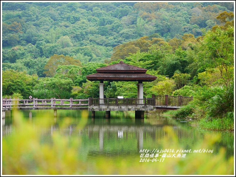 2014-05-羅山大魚池15.jpg 2014-05-羅山大魚池15.jpg