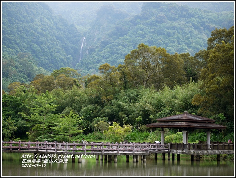 2014-05-羅山大魚池16.jpg 2014-05-羅山大魚池16.jpg