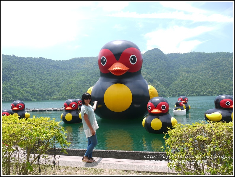 2014-07-鯉魚潭紅面番鴨35.jpg 2014-07-鯉魚潭紅面番鴨35.jpg