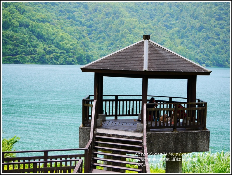 2014-07-鯉魚潭紅面番鴨26.jpg 2014-07-鯉魚潭紅面番鴨26.jpg