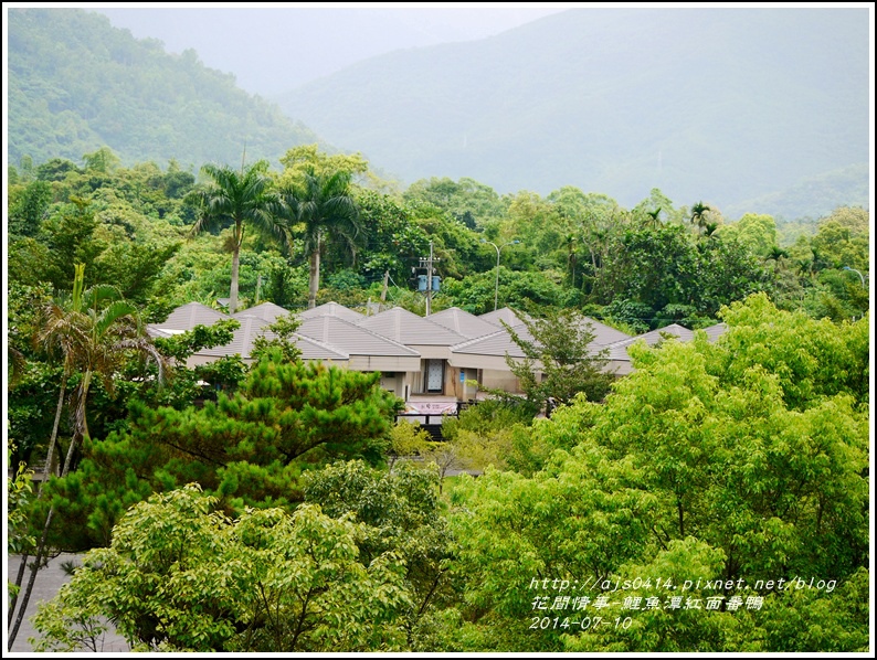 2014-07-鯉魚潭紅面番鴨28.jpg 2014-07-鯉魚潭紅面番鴨28.jpg