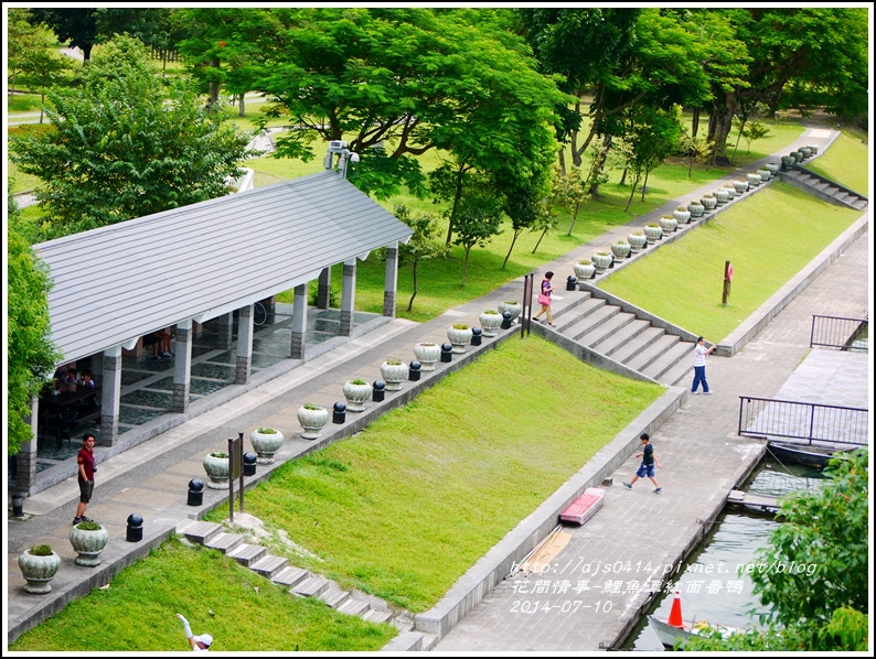 2014-07-鯉魚潭紅面番鴨29.jpg 2014-07-鯉魚潭紅面番鴨29.jpg