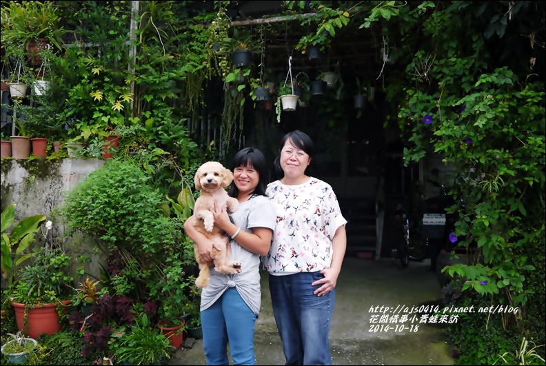 2014-10-小青蛙來訪9.jpg 2014-10-小青蛙來訪9.jpg