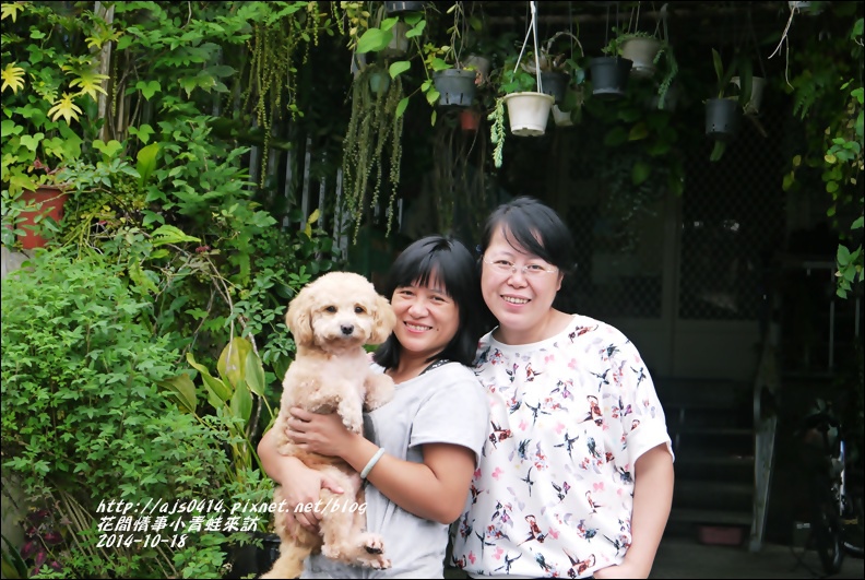 2014-10-小青蛙來訪6.jpg 2014-10-小青蛙來訪6.jpg