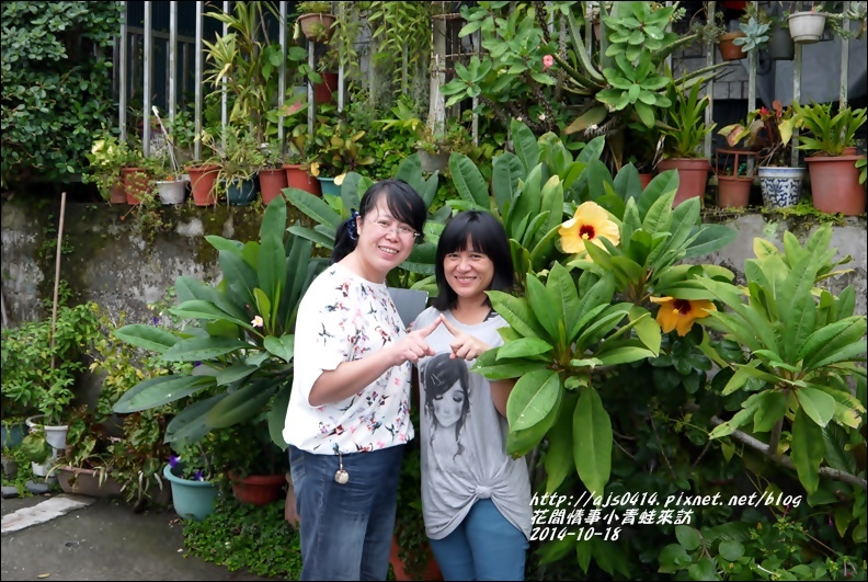 2014-10-小青蛙來訪7.jpg 2014-10-小青蛙來訪7.jpg