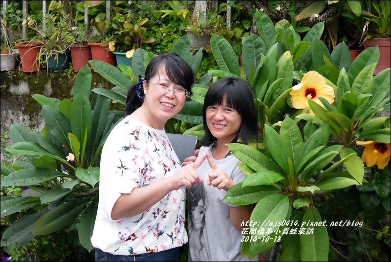 2014-10-小青蛙來訪8.jpg 2014-10-小青蛙來訪8.jpg