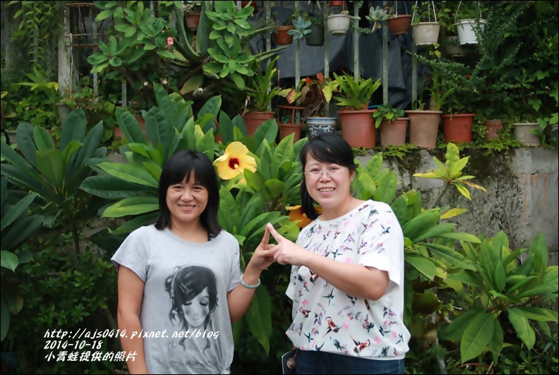 2014-10-小青蛙來訪12.jpg 2014-10-小青蛙來訪12.jpg