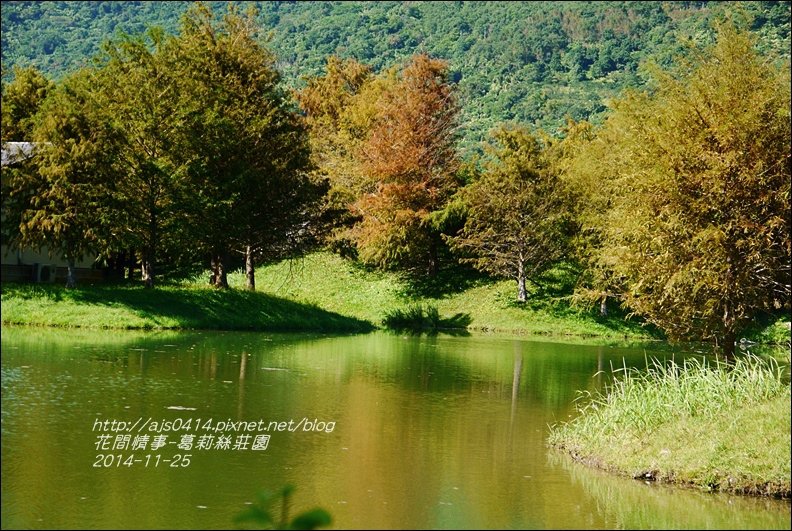 2014-11-葛莉絲莊園10.jpg 2014-11-葛莉絲莊園10.jpg